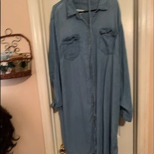 Ava/viv denim dress